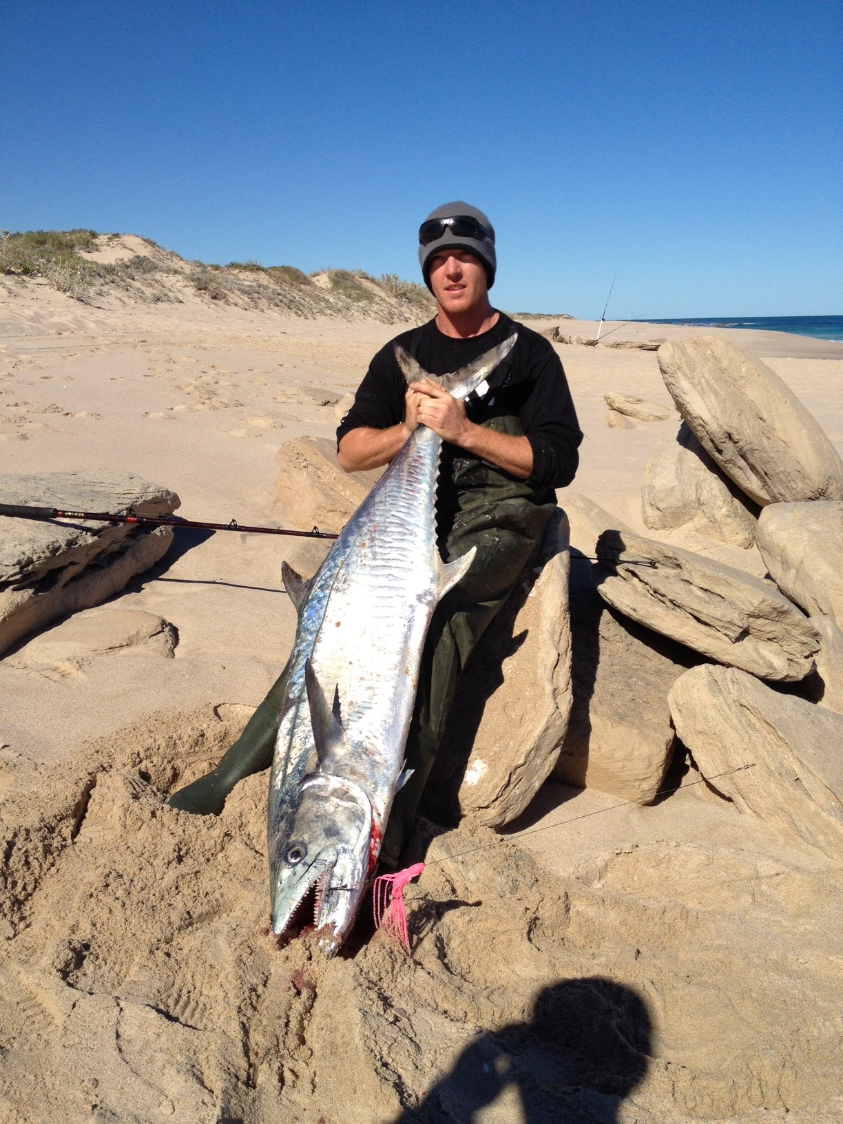 Big Land Based Mackie Fishing Fishing WA. Fishing